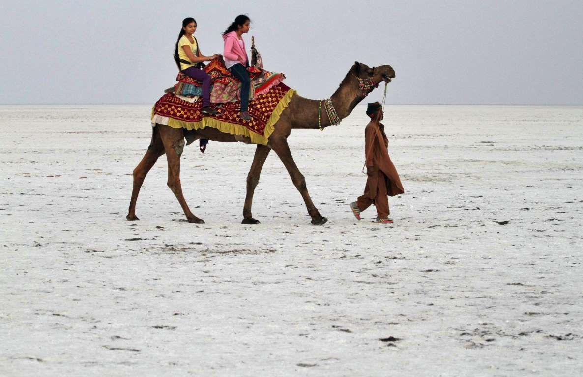 Top 7 Things to Do in the Rann of Kutch. Gujarat travel guide by Kutch Cab Service